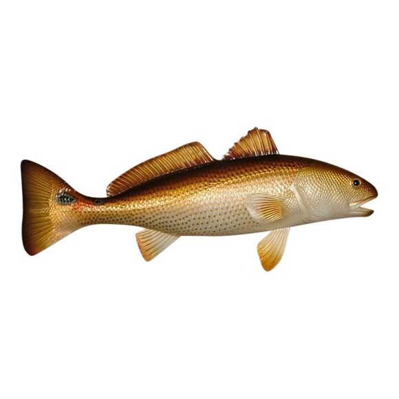 Charlotte International Other - Replica Red Drum Fish Ocean Restaurant Wall Decor 28 inch